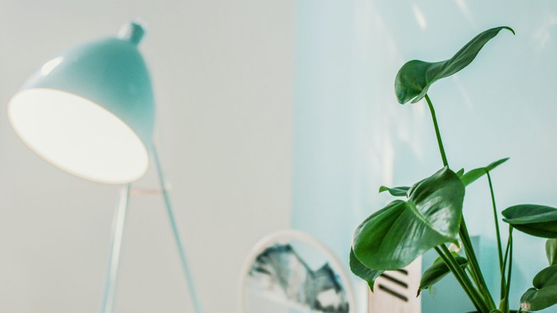 5 Day Yogic Detox and Cleansing in Victoria, Malta