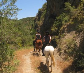 8 Tage Sonniger Reiturlaub in Heraklion, Kreta, Griechenland - Photo 5