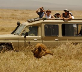 83 Day Experience Wildlife Safari and Explore a Little Paradise of Africa at Maasai Mara - Photo 1