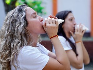 3 días en retiro de meditación y yoga holístico en el Himalaya en Rishikesh, India