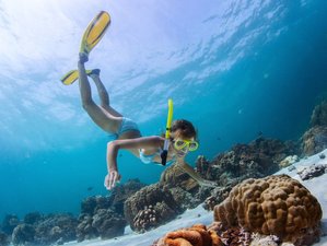 5 Tage Meer und Spa Abenteuer Yoga Urlaub in Key West, Florida