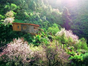 8 días de recuperación con yoga, detox y bienestar en un paraíso con vista al mar en La Palma