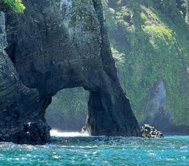 5 jours de vrai yoga : retour aux sources pure et écoute des chants sacrés des baleines à Arusí, Colombie - Photo 2