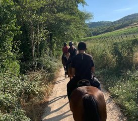 8-Daagse Ontdek Valdarno Ruitervakantie in Toscane, Italië - Photo 4