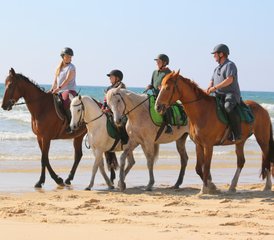 08 Day Flexible Horseback Riding Holiday in Mimizan, Landes - Photo 1
