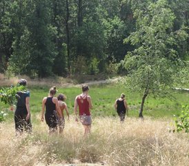 4-Daagse Stilteretraite met Yoga, Meditatie en Bosbaden nabij Retie, België - Photo 4