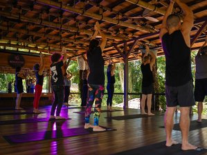 22 Day 200 Hours Yoga Teacher Training in the Heart of Lush Dominical Jungle, Costa Rica