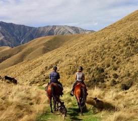 3 jours trek privé à cheval à Fairlie, MacKenzie, Nouvelle‑Zélande - Photo 2