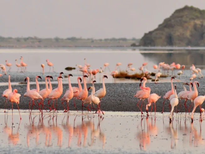 11 Day Guided Motorcycle Tour in Tanzania and Zanzibar photo 10
