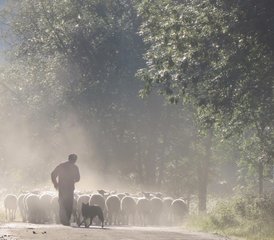 6 Tage Wander-, Yoga- und Meditationsretreat im Herzen des Écrins-Nationalparks, Frankreich - Photo 5