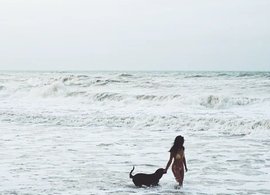 Palomino Retreats & Trips