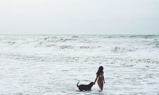 Palomino Retreats und Reisen