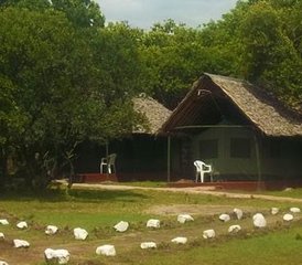 7 Day Masai Mara, Lake Nakuru, and Amboseli Camping Safari in Kenya - Photo 5