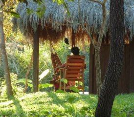 9 jours de bien-être ressourçant en cure de détox en Amazonie à Tarapoto, Pérou - Photo 5