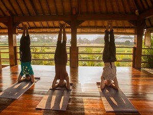 8 Day New Year's Eve Bali Yoga Retreat in Ubud - BookYogaRetreats.com