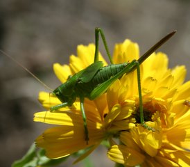 7 Day Nature’s Embrace: Reconnect and Renew Wellness Retreat in Aude, France with Nature Therapy - Photo 5