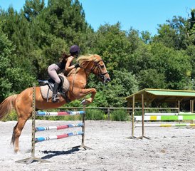 68 Day R.Y.E.2© Intensive Program: Show Jumping and English Training for Teens in Mimizan, France - Photo 1