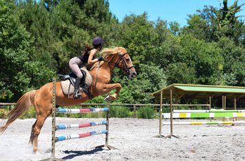 8 Tage R.Y.E.2© Intensivprogramm: Springreiten und Englischtraining für Jugendliche in Mimizan, Frankreich