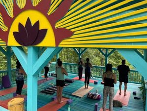 4 Day Empowered New Year: Sober Curious Yoga Women’s Retreat in the Blue Ridge Mountains, USA