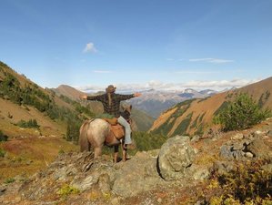 7 Day Wildlife Tracking and Conservation Horse Riding Tour in Canada