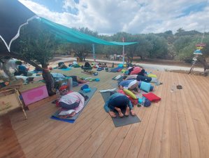 6 Day Acro Yoga Retreat in Pacheia Ammos, Crete