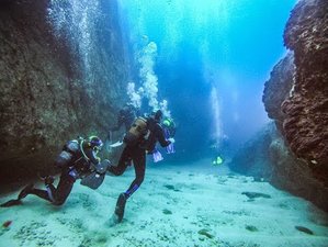 8-Daags Surf- en Duikkamp met PADI Open Water-certificering in Peniche, Portugal