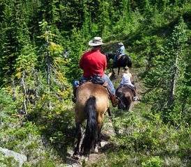 3 Day Historic Li-lik-hel Gold Mine Horseback Riding Expedition in British Columbia, Canada - Photo 2
