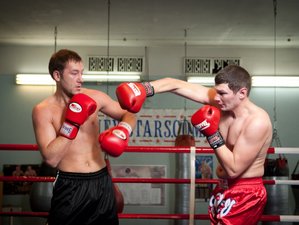 7 Day Boxing Training Camp in Kiev
