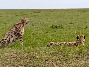 3 Day Private Masai Mara National Reserve Safari in Kenya with the Big Five and Great Rift Valley