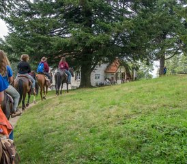 6 Day High Balkan Trail Ride: Horse Riding Adventure in Bulgaria - Photo 2
