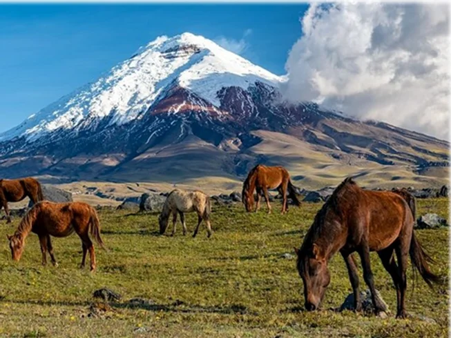 16 Day Guided Motorcycle Tour: Ecuador and Colombia Expedition photo 8