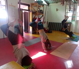 Formation de professeur de yoga multi-styles de 27 jours et 200 heures à Dharamshala, en Inde - Photo 4
