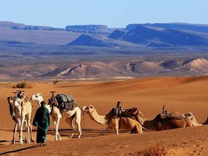 2 Days Zagora Desert Safari in Morocco
