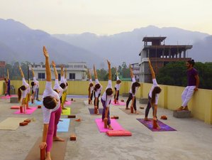 26 Day 200-Hour Hatha and Vinyasa Flow Yoga Teacher Training in Rishikesh, India