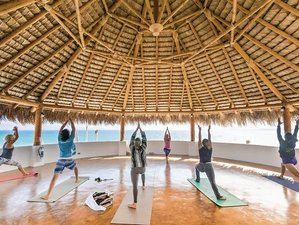 7 Day Luxury Beachfront Yoga Retreat in Baja, Mexico