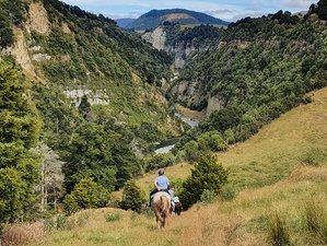 3 Day River Wild, Mountain High Horse Riding and Rafting Adventure on the North Island, New Zealand