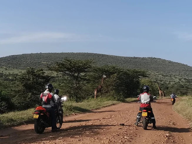 4 Day Guided Motorcycle Tour in Kenya with Wildlife Adventure Through The Mara and Western Mau photo 8