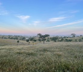 6 jours en retraite de yoga, méditation et journal intime en Alentejo, Portugal - Photo 2