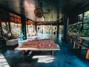 6 Day Jungle Transformative Journey Wellness Retreat in Tulum, Mexico