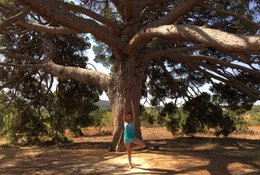 4 Tage Root and Rise: Ein Privates Systemisches Yoga Retreat in Ibiza, Spanien