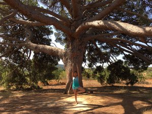 4 Tage Root and Rise: Ein Privates Systemisches Yoga Retreat in Ibiza, Spanien