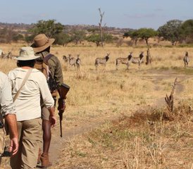 6-Daagse Wandel-Safari en Cultuur Tour in Tanzania - Photo 3