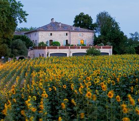 6 jours en vacances de vini-yoga et cuisine pour enfin respirer au château de Montgaillard  - Photo 3
