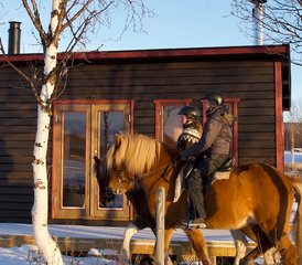 4 Tage Wohlfühl-Reiten in den Kebnekaise-Bergen - Photo 4