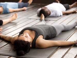 1 Monat 50-Stunden Online Yoga Nidra Lehrerausbildung mit 4 Live Einheiten