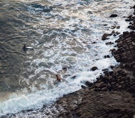 38 Day Surf Intensive Tour in "Bacalhau" Campervan in the Atlantic Coast of Portugal - Photo 1
