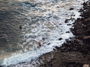 8 Day Surf Intensive Tour in "Bacalhau" Campervan in the Atlantic Coast of Portugal