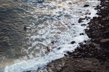 8 Day Surf Intensive Tour in "Bacalhau" Campervan in the Atlantic Coast of Portugal