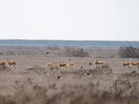 Pokhran