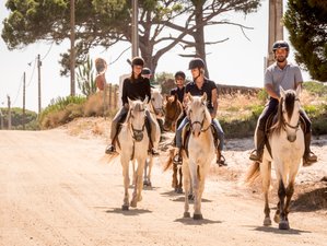 8-Daagse Trailrij-avontuur in het District Setúbal Portugal